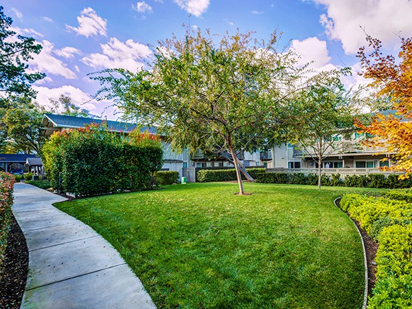 The Markham Apartments, Cupertino (see reviews, pics